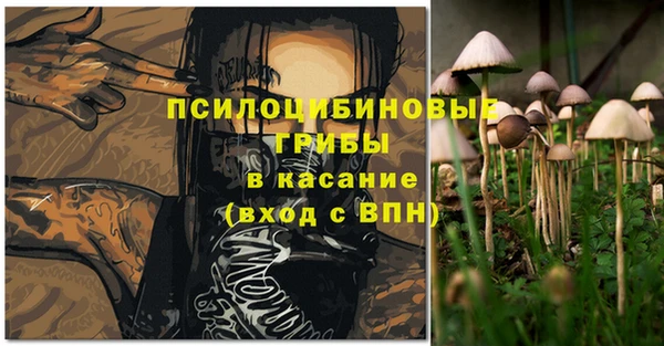 дживик Арсеньев