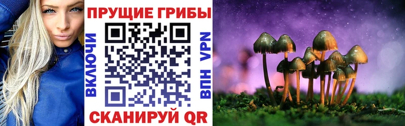 Псилоцибиновые грибы GOLDEN TEACHER  нарко площадка Telegram  Солнечногорск 